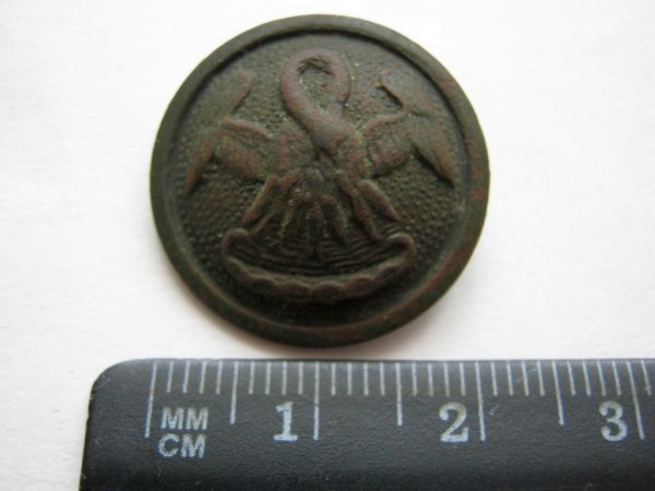 pelican on button