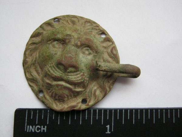lion face buckle dimensions inches