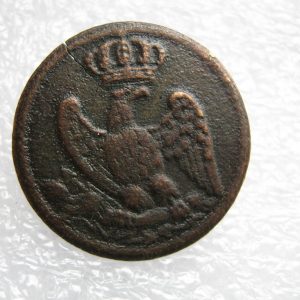 Emperor Napoleon's Imperial Guard regiment button